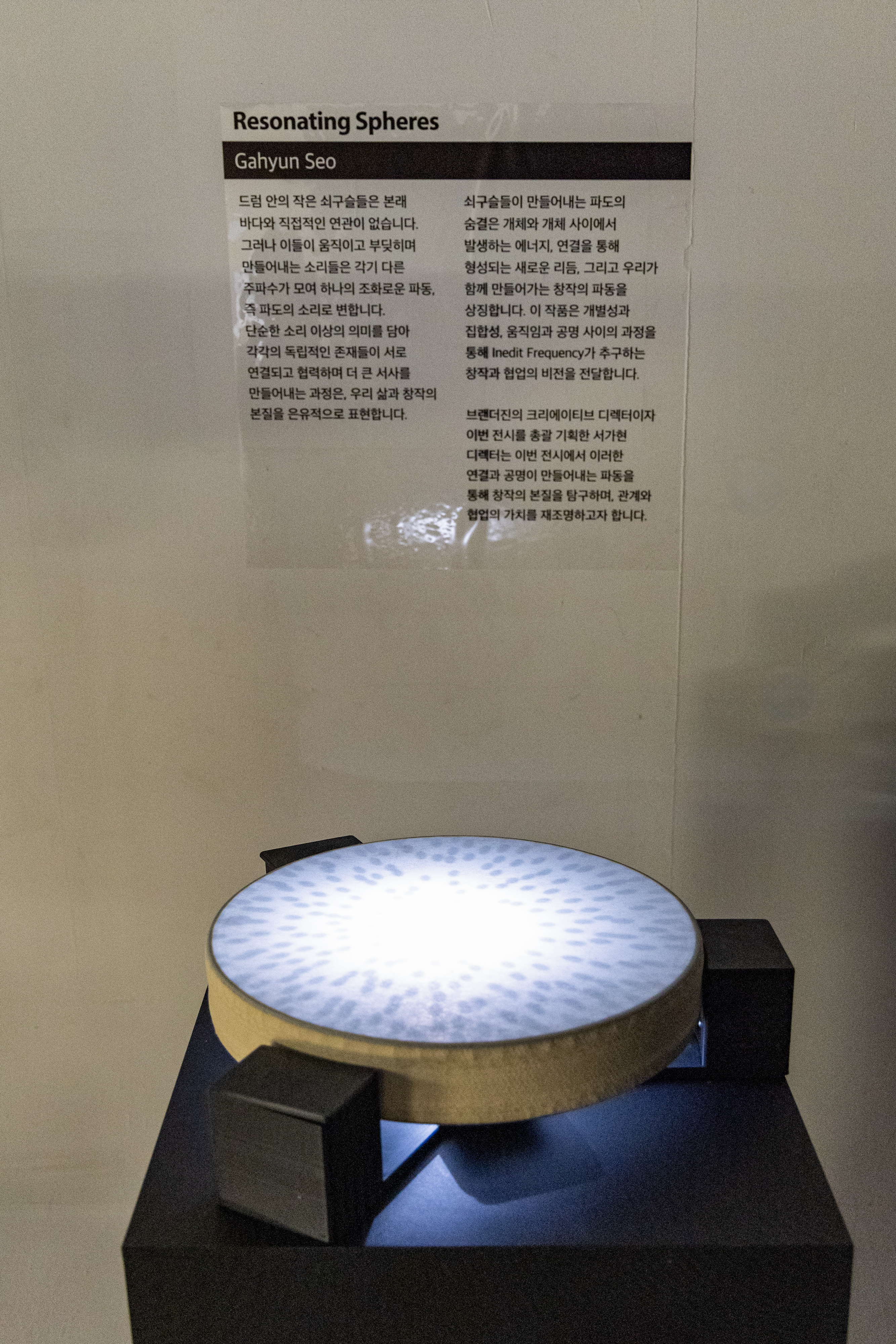 브랜더진＜INEDIT FREQUENCY＞ 13