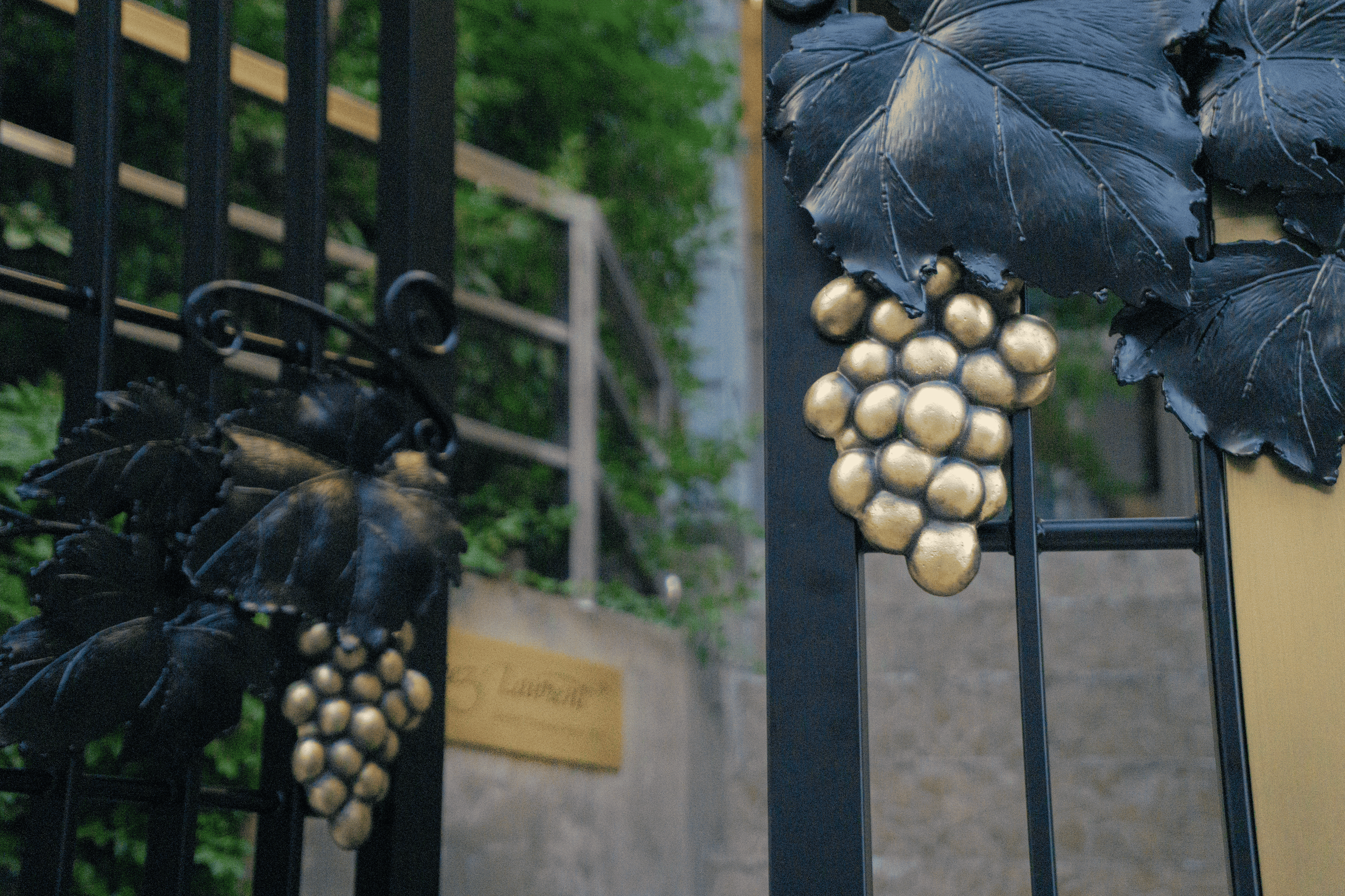 Chez Laurent ＜Signature Entrance＞ 7